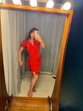 Pre-loved Kachel Red Silk Dress