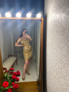 Pre-loved blushe Leopard Silk Dress