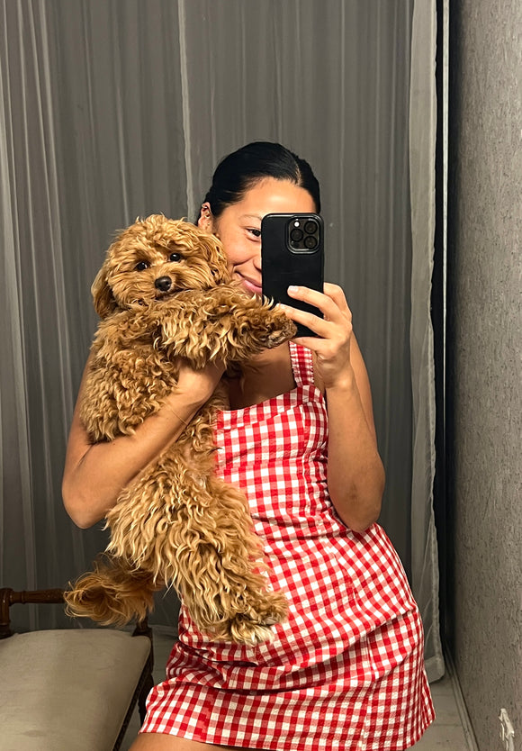 Pre-loved Red Gingham Check Mini Dress