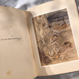 William Shakespeare “the Tempest”, illustrated by Arthur Rackham